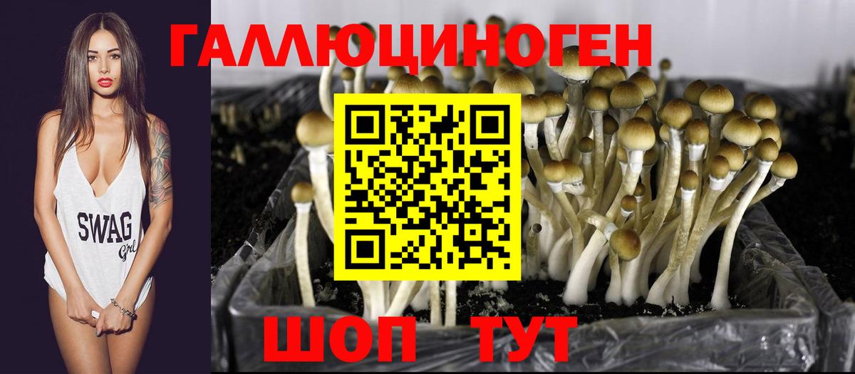 Артёмовский  Псилоцибиновые грибы Magic Shrooms  Вход с VPN 